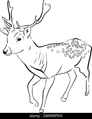 Wild Line Art Illustrationsvektor Stock Vektor