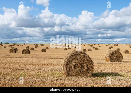 Strohballen auf einem Feld nach der Ernte und bewölktem Himmel Stockfoto