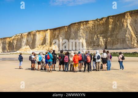 Gruppe von Wanderern, die bei Ebbe am Strand entlang der Klippen spazieren. Klippen entlang der normannischen Küste, Gebiet namens Pays de Caux. Gruppenwanderung mit einem Reiseleiter Stockfoto