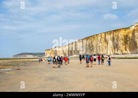 Gruppe von Wanderern, die bei Ebbe am Strand entlang der Klippen spazieren. Klippen entlang der normannischen Küste, Gebiet namens Pays de Caux. Gruppenwanderung mit einem Reiseleiter Stockfoto