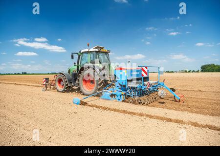 Bio-Hanfkeimling, Traktor mit Lemken-Stutzenverteiler Stockfoto