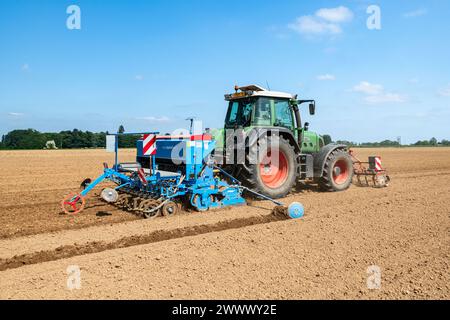 Bio-Hanfkeimling, Traktor mit Lemken-Stutzenverteiler Stockfoto