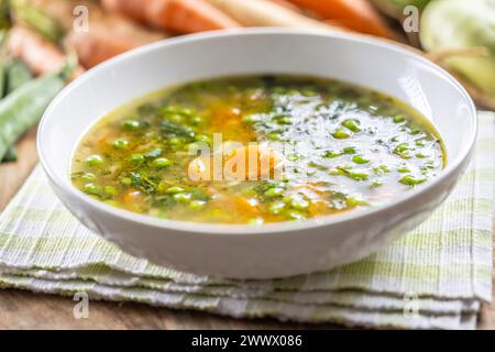 Gesunde Gemüsesuppe aus frischem Frühlingsgemüse. Stockfoto