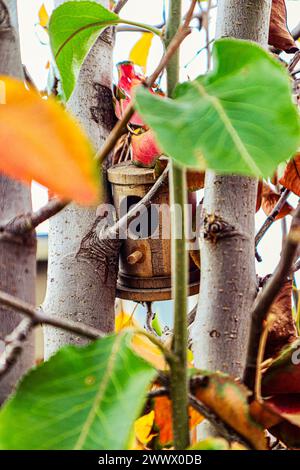 Vogelhaus versteckt in einem Baum Stockfoto