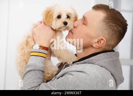 Der Besitzer hält einen kleinen Maltipoo-Hund in der Hand, der sich zwischen Mensch und Haustier verbirgt. Pflege und Liebe zu Tierfreunden Stockfoto