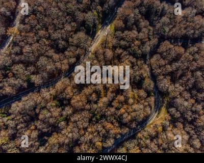 Eine Passstraße schlängelt sich durch den Laubwald. Blick von oben aus der Vogelperspektive auf einen herbstlichen Wald in den Bergen des Parco dei Nebrodi im Norden Siziliens. Italien Blick auf eine kleine Passstraße durch einen Wald *** Eine Passstraße windet sich durch den Laubwald Vogelperspektive auf einen herbstlichen Wald in den Bergen des Parco dei Nebrodi im Norden Siziliens Italien Blick auf eine kleine Passstraße durch einen Wald Stockfoto