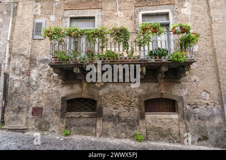 Ein mit Pflanzen bewachsener Balkon an einem alten Haus in Bronte, Sizilien, Italien. In der Pistazienstadt Bronte am Fusse des Ätna *** Ein mit Pflanzen bewachsener Balkon auf einem alten Haus in Bronte, Sizilien, Italien in der Pistazienstadt Bronte am Fuße des Ätna Stockfoto