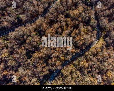 Eine Passstraße schlängelt sich durch den Laubwald. Blick von oben aus der Vogelperspektive auf einen herbstlichen Wald in den Bergen des Parco dei Nebrodi im Norden Siziliens. Italien Blick auf eine kleine Passstraße durch einen Wald *** Eine Passstraße windet sich durch den Laubwald Vogelperspektive auf einen herbstlichen Wald in den Bergen des Parco dei Nebrodi im Norden Siziliens Italien Blick auf eine kleine Passstraße durch einen Wald Stockfoto