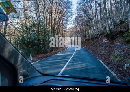 Blick aus dem Cockpit eines Campers auf eine schmale Landstraße durch einen Wald in den Nebrodischen Bergen. Sizilien, Italien. Mit einem Camper unterwegs *** Blick aus dem Cockpit eines Wohnmobils auf einer schmalen Landstraße durch einen Wald in den nekrodischen Bergen von Sizilien, Italien mit einem Wohnmobil unterwegs Stockfoto