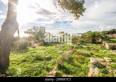 An der archäologischen Ausgrabungsstätte Selinunt bei Castelvetrano Trapani, Sizilien, Italien. Tempel und Ausgrabungen Selinunt *** an der archäologischen Stätte Selinunte bei Castelvetrano Trapani, Sizilien, Italien Selinunte Tempel und Ausgrabungen Stockfoto