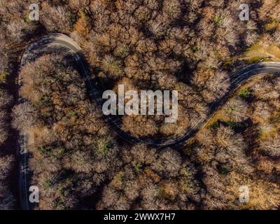 Eine Passstraße schlängelt sich durch den Laubwald. Blick von oben aus der Vogelperspektive auf einen herbstlichen Wald in den Bergen des Parco dei Nebrodi im Norden Siziliens. Italien Blick auf eine kleine Passstraße durch einen Wald *** Eine Passstraße windet sich durch den Laubwald Vogelperspektive auf einen herbstlichen Wald in den Bergen des Parco dei Nebrodi im Norden Siziliens Italien Blick auf eine kleine Passstraße durch einen Wald Stockfoto