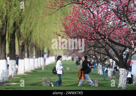 Hangzhou, chinesische Provinz Zhejiang. März 2024. Touristen besuchen die malerische Gegend des Westsees in Hangzhou, ostchinesischer Provinz Zhejiang, 26. März 2024. Quelle: Huang Zongzhi/Xinhua/Alamy Live News Stockfoto