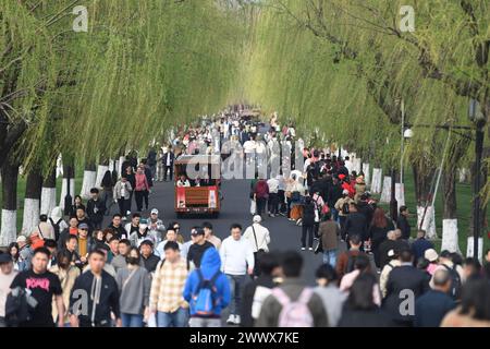 Hangzhou, chinesische Provinz Zhejiang. März 2024. Touristen besuchen die malerische Gegend des Westsees in Hangzhou, ostchinesischer Provinz Zhejiang, 26. März 2024. Quelle: Huang Zongzhi/Xinhua/Alamy Live News Stockfoto