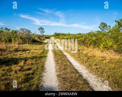 Eine primitive Straße im Deer Prairie Creek Preserve in Venice Florida USA Stockfoto