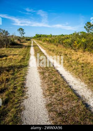 Eine primitive Straße im Deer Prairie Creek Preserve in Venice Florida USA Stockfoto