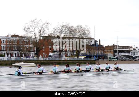 Das Cambridge Women's Team während eines Trainings auf der Themse in London. Bilddatum: Dienstag, 26. März 2024. Stockfoto