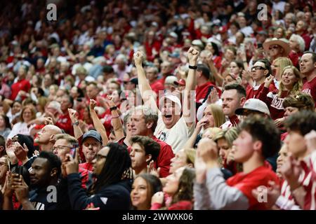 Bloomington, Usa. März 2024. Fans der Indiana Hoosiers reagieren auf das NCAA-Basketballturnier gegen die Oklahoma University in der Simon Skjodt Assembly Hall. Die Hoosiers besiegten die Oklahoma University 75-68 und erreichten die Sweet 16. (Foto: Jeremy Hogan/SOPA Images/SIPA USA) Credit: SIPA USA/Alamy Live News Stockfoto