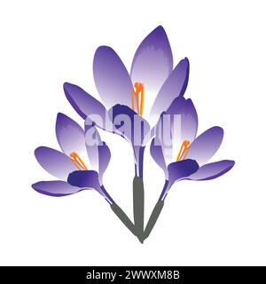 Vektorsatz von violetten Krokusblüten mit Blättern isoliert auf weiß. Cartoon erste Frühlingsblumen in der Reihe für Magazine, Poster, Webseiten. Stock Vektor