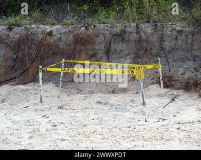 Schildkrötennest ist im Barefoot Beach County Preserve nördlich von Naples, Florida, markiert. Stockfoto