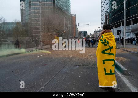 Nicolas Landemard / Le Pictorium - Bauerndemonstration in Brüssel. - 26/03/2024 - Belgien / Brüssel / Brüssel - zum dritten Mal seit Anfang des Jahres demonstrieren heute Landwirte in der belgischen Hauptstadt. Am Rande einer Tagung des Europäischen Rates über Landwirtschaft und Fischerei forderten sie ein Ende der Freihandelsabkommen und bessere Preise für den Kauf und Verkauf ihrer Erzeugnisse. Es gab einige Zwischenfälle, mit Eierwerfen, Feuerwerkskörpern und Strohfeuern auf der einen Seite, Wasserwerfer und Tränengas auf der anderen Seite. Stockfoto