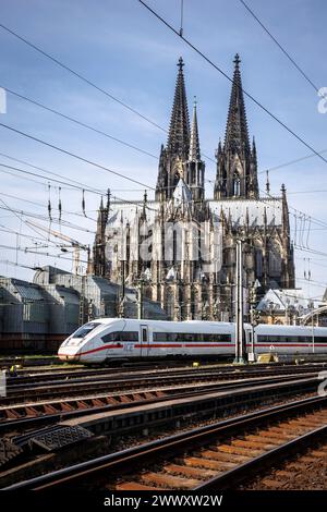 Hamburg Koln Zug