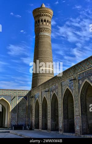 Das Kalyan Minarett bildet den mit Mosaiken gekachelten Innenhof im Po-i-Kalan-Moschee-Komplex, der zum UNESCO-Weltkulturerbe in Buchara, Usbekistan, Zentralasien gehört Stockfoto