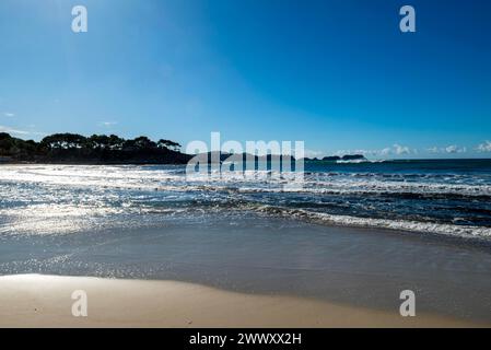 Blick von der Strandpromenade an Playa Palmira in Paguera oder Peguera, Gemeinde Calvia, Mallorca, Balearen, Spanien Stockfoto
