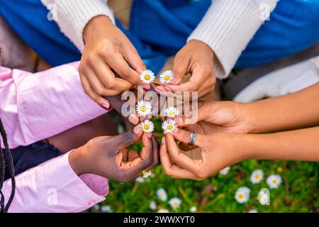 Draufsicht von Frauen, die Blumen halten und sich die Hände im Kreis zusammenfügen Stockfoto