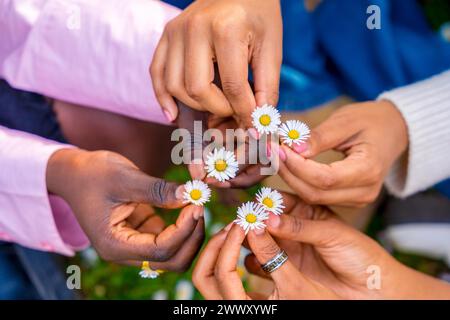 Blick von oben auf drei nicht erkennbare junge afrikanische Freundinnen, die Blumen halten und sich im Kreis zusammenfügen Stockfoto