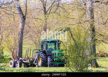 Traktor mit Wagen für Forstarbeiten in einem grünen Baumhain im Frühling Stockfoto