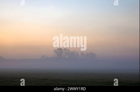 WA25119-00...WASHINGTON - Sonnenaufgang an einem nebeligen Morgen im Skagit Valley nahe Mount Vernon. Stockfoto
