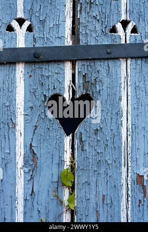 Holztür mit Herz, Stalltür, heller Lack, verwittert, Blätter von Knotengras (Fallopia baldschuanica), altes Bauernhaus, Idylle, romantisch Stockfoto