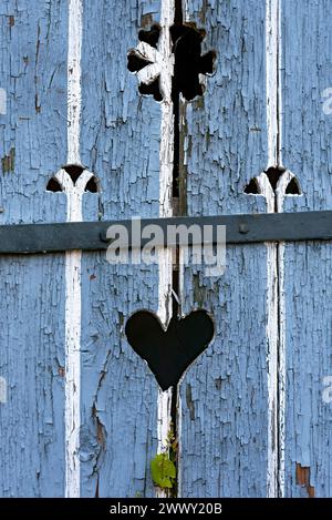 Holztür mit Herz, Stalltür, heller Lack, verwittert, Blätter von Knotengras (Fallopia baldschuanica), altes Bauernhaus, Idylle, romantisch Stockfoto