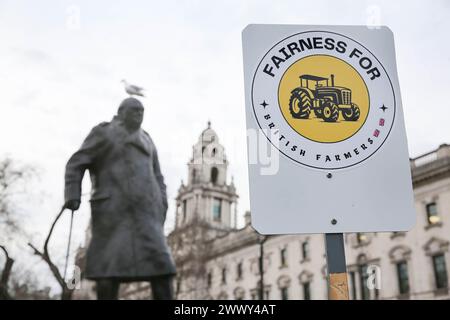 Ein Unterstützer hält ein Plakat mit der Aufschrift ëFairness für den britischen Farmingí, während während während der Demonstration auf dem Parlamentsplatz eine Möwe auf der Statue von Churchillís thront. Die Bauern versammelten sich und fuhren mit mehr als 130 Traktoren auf dem Parlamentsplatz, um zu demonstrieren, dass die britische Nahrungsmittelproduktion nicht unterstützt wird. Stockfoto