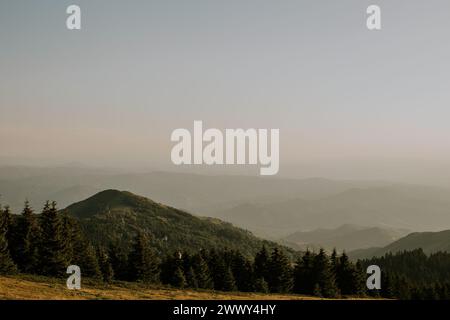 Üppiges grasbewachsenes Feld mit verschiedenen Bäumen und eingerahmt von majestätischen Bergen im Hintergrund, die eine friedliche und malerische Szene schaffen. Stockfoto