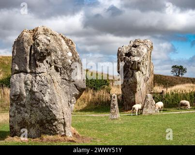 Massive Sarsensteine im äußeren Ring des Avebury Steinkreises und der Henge in Wiltshire, Großbritannien Stockfoto