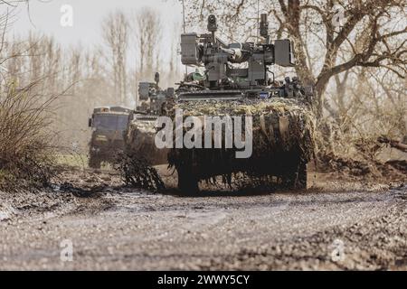 Panzer Pandur II faehrt durch einen Wald im Rahmen der Militaeruebung Wettiner Schwert mit deutschen und tschechischen Soldaten bei Tangermuende, 26,0 Stockfoto