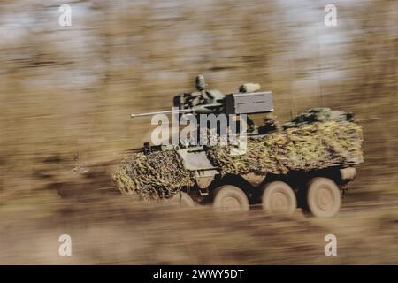 Panzer Pandur II faehrt durch einen Wald im Rahmen der Militaeruebung Wettiner Schwert mit deutschen und tschechischen Soldaten bei Tangermuende, 26,0 Stockfoto