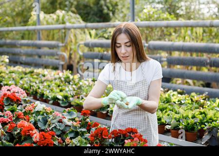 Eine junge Frau kümmert sich in einem Gewächshaus um Blumentöpfe. Stockfoto