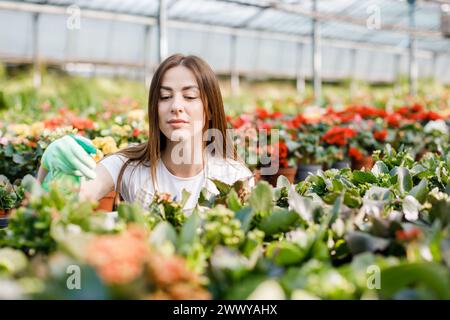 Junge Frau Floristin sprüht Wasser auf Zimmerpflanzen in Blumentöpfen durch Sprüher. Stockfoto