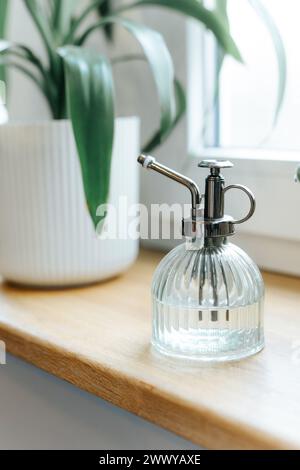 Zimmerpflanze mit einer Pflanzenmister-Flasche auf einer hölzernen Fensterbank. Stockfoto