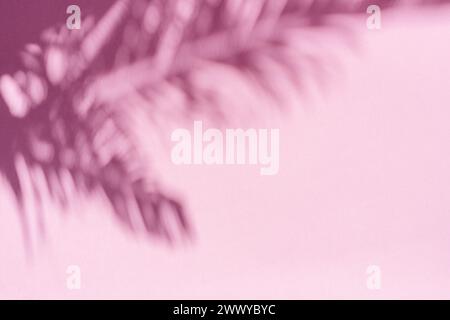 Verschwommener Schatten tropischer Palmenblätter auf rosa Wandhintergrund. Sommerkonzept. Stockfoto