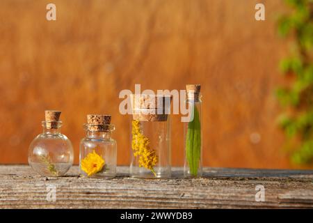 Natürliche ätherische Öle und Kräuter in Flaschen Stockfoto