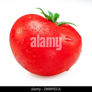 Frisch gewaschene rote Tomaten bedeckt mit Wassertropfen auf weißem Hintergrund. Stockfoto