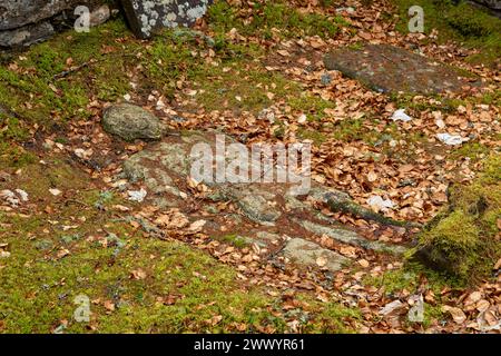 Das Clan MacNab Begräbnis befindet sich auf der Insel Innis Bhuidhe im Dorf Killin in Perthshire. Stockfoto