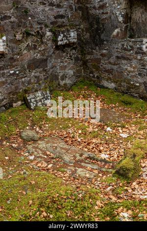 Das Clan MacNab Begräbnis befindet sich auf der Insel Innis Bhuidhe im Dorf Killin in Perthshire. Stockfoto