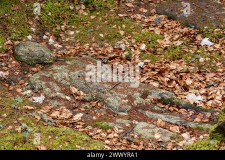 Das Clan MacNab Begräbnis befindet sich auf der Insel Innis Bhuidhe im Dorf Killin in Perthshire. Stockfoto