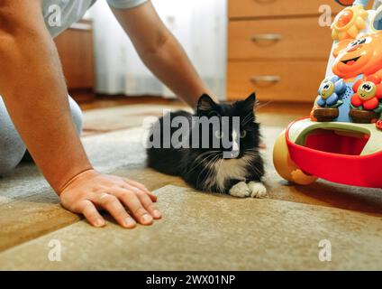 Eine schwarz-weiße Katze liegt auf dem Boden neben einem bunten Spielzeug und sieht bequem und entspannt aus. Stockfoto