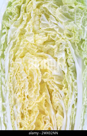 Ein Querschnitt von Napa-Kohl. Er nimmt die gesamte Oberfläche des Bildes ein. Nahaufnahme. Stockfoto