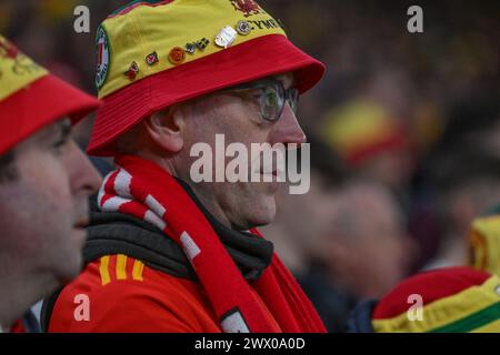 Spannungen bauen während des UEFA-Euro-Qualifikationsspiels Gruppe A gegen Polen im Cardiff City Stadium, Cardiff, Großbritannien, 26. März 2024 (Foto: Craig Thomas/News Images) Stockfoto